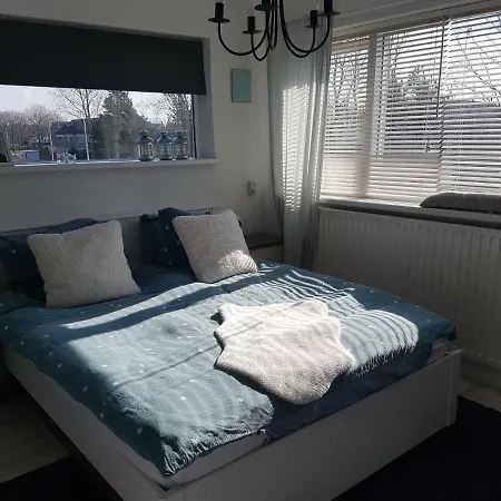 Duinroos * Zandvoort